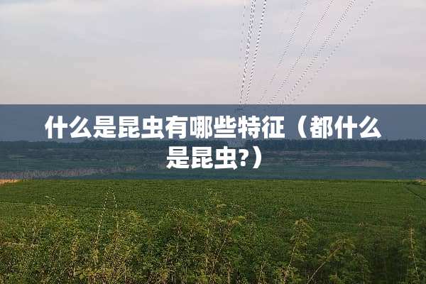 什么是昆虫有哪些特征(都什么是昆虫?) 什么是昆虫有哪些特征(都什么是昆虫?)
