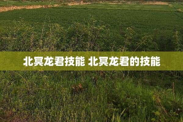 北冥龙君技能 北冥龙君的技能 北冥龙君技能 北冥龙君的技能