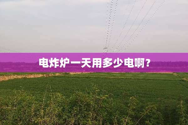 电炸炉一天用多少电啊？