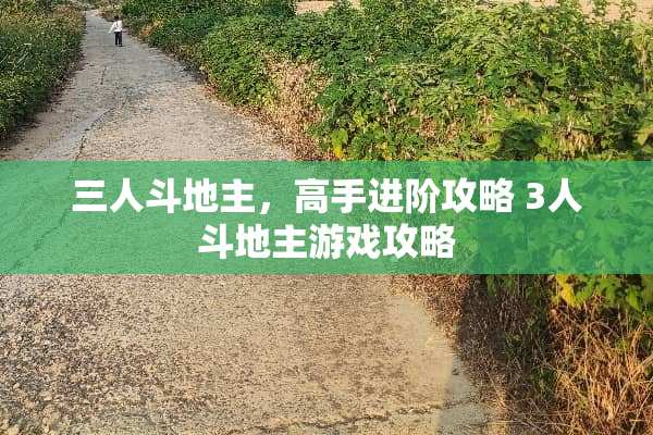 三人***，高手进阶攻略 3人***游戏攻略