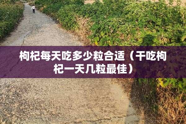 枸杞每天吃多少粒合适（干吃枸杞一天几粒最佳）