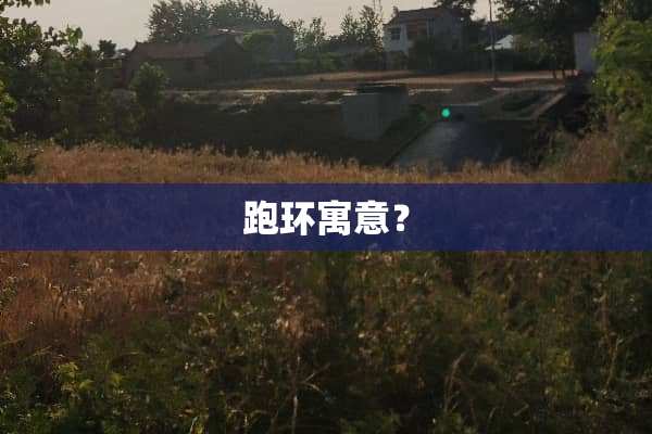 跑环寓意？