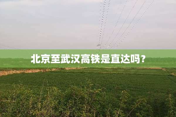 北京至武汉高铁是直达吗？