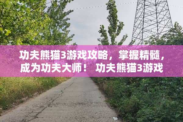 功夫熊猫3游戏攻略，掌握精髓，成为功夫大师！ 功夫熊猫3游戏攻略