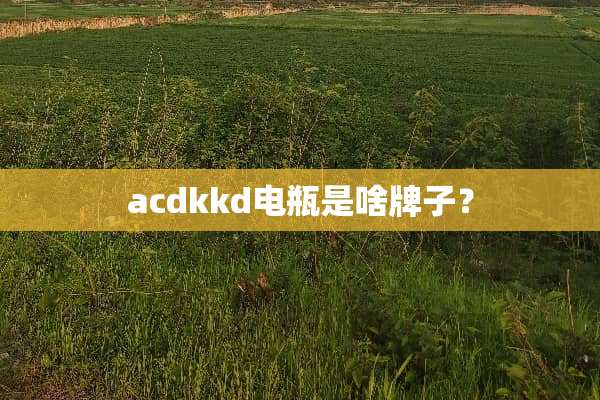 acdkkd电瓶是啥牌子？