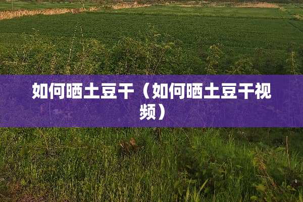 如何晒土豆干（如何晒土豆干视频）