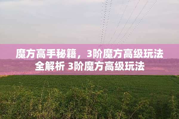 魔方高手秘籍，3阶魔方高级玩法全解析 3阶魔方高级玩法