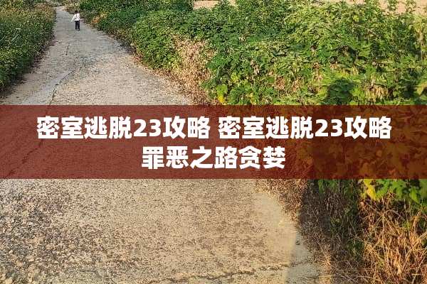 密室逃脱23攻略 密室逃脱23攻略罪恶之路贪婪 密室逃脱23攻略 密室逃脱23攻略罪恶之路贪婪