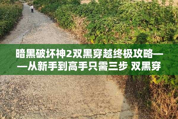 暗黑破坏神2双黑穿越终极攻略——从新手到高手只需三步 双黑穿越游戏攻略 暗黑破坏神2双黑穿越终极攻略——从新手到高手只需三步 双黑穿越游戏攻略