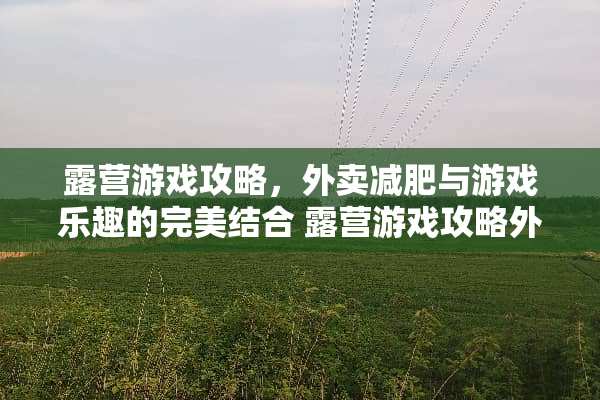 露营游戏攻略，外卖减肥与游戏乐趣的完美结合 露营游戏攻略外卖减肥