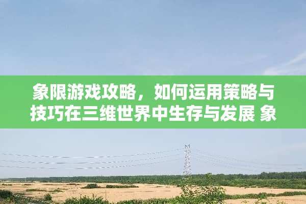 象限游戏攻略，如何运用策略与技巧在三维世界中生存与发展 象限游戏攻略