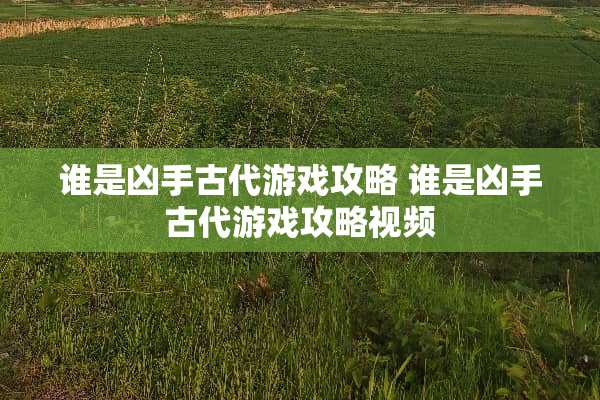 谁是凶手古代游戏攻略 谁是凶手古代游戏攻略视频