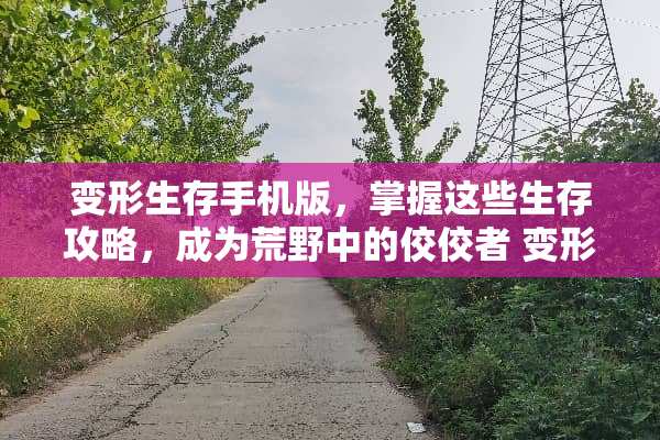 变形生存手机版，掌握这些生存攻略，成为荒野中的佼佼者 变形生存手机版游戏攻略