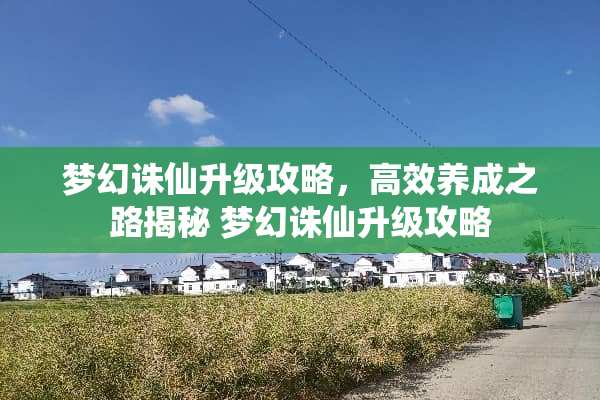 梦幻诛仙升级攻略，高效养成之路揭秘 梦幻诛仙升级攻略