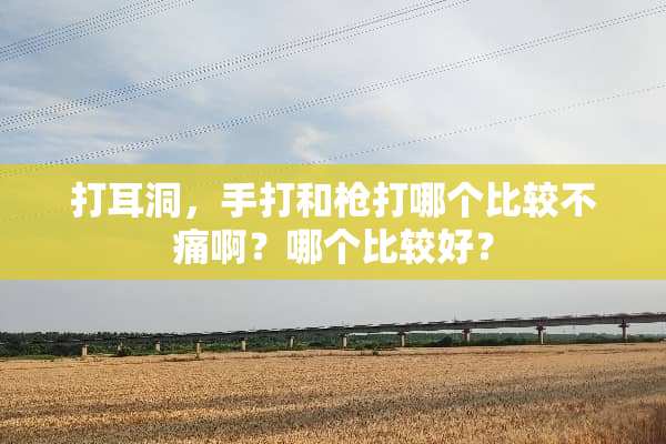 打耳洞，手打和*打哪个比较不痛啊？哪个比较好？
