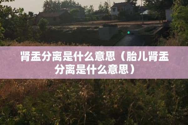 肾盂分离是什么意思（胎儿肾盂分离是什么意思）