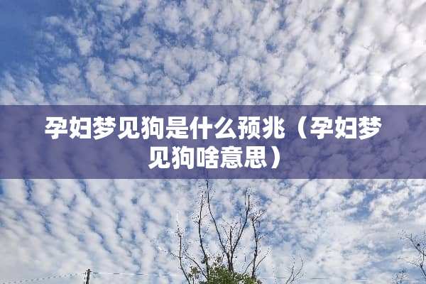 孕妇梦见狗是什么预兆（孕妇梦见狗啥意思）