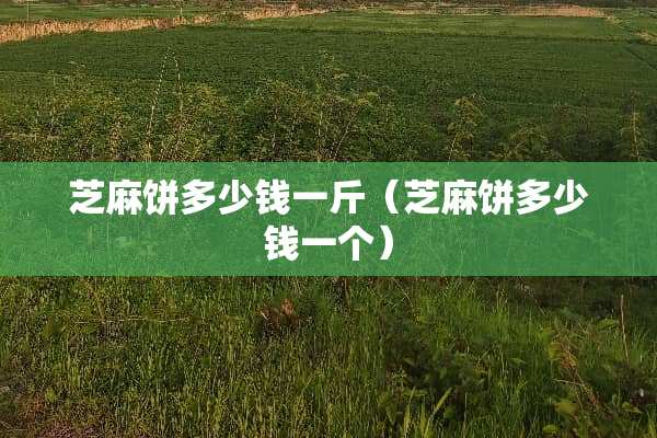 芝麻饼多少钱一斤(芝麻饼多少钱一个) 芝麻饼多少钱一斤(芝麻饼多少钱一个)