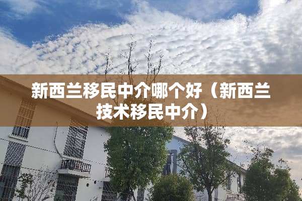 新西兰移民中介哪个好（新西兰技术移民中介）