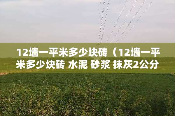12墙一平米多少块砖（12墙一平米多少块砖 水泥 砂浆 抹灰2公分）