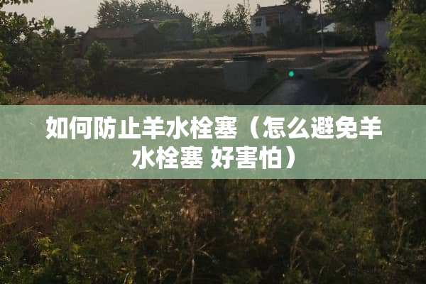 如何防止羊水栓塞(怎么避免羊水栓塞 好害怕) 如何防止羊水栓塞(怎么避免羊水栓塞 好害怕)