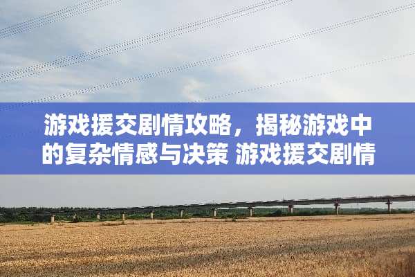 游戏**剧情攻略,揭秘游戏中的复杂情感与决策 游戏**剧情攻略 游戏**剧情攻略,揭秘游戏中的复杂情感与决策 游戏**剧情攻略