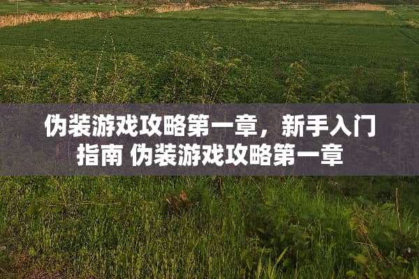 伪装游戏攻略第一章,新手入门指南 伪装游戏攻略第一章 伪装游戏攻略第一章,新手入门指南 伪装游戏攻略第一章