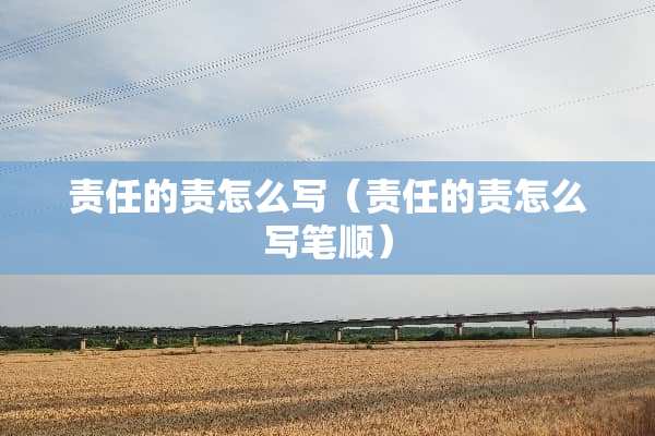 责任的责怎么写(责任的责怎么写笔顺) 责任的责怎么写(责任的责怎么写笔顺)