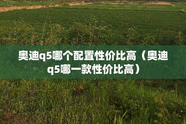奥迪q5哪个配置性价比高(奥迪q5哪一款性价比高) 奥迪q5哪个配置性价比高(奥迪q5哪一款性价比高)