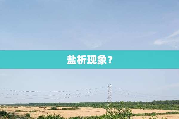 盐析现象？
