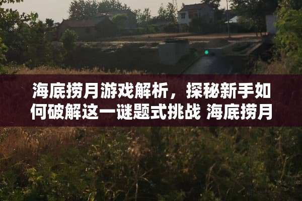 海底捞月游戏解析，探秘新手如何**这一谜题式挑战 海底捞月是什么玩法