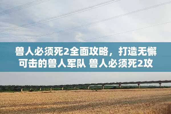 兽人必须死2全面攻略，打造无懈可击的兽人** 兽人必须死2攻略