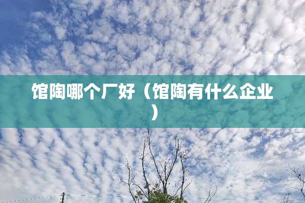 馆陶哪个厂好(馆陶有什么企业) 馆陶哪个厂好(馆陶有什么企业)