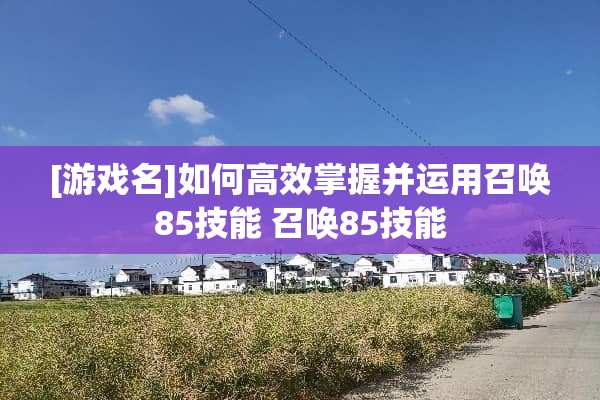 [游戏名]如何高效掌握并运用召唤85技能 召唤85技能