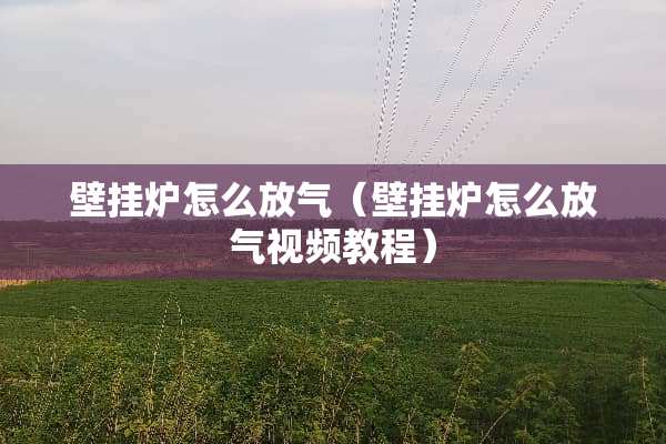 壁挂炉怎么放气(壁挂炉怎么放气视频教程) 壁挂炉怎么放气(壁挂炉怎么放气视频教程)