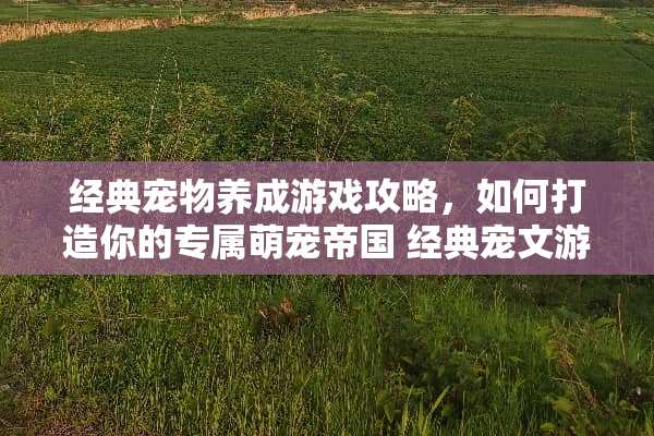 经典宠物养成游戏攻略,如何打造你的专属萌宠帝国 经典宠文游戏攻略 经典宠物养成游戏攻略,如何打造你的专属萌宠帝国 经典宠文游戏攻略