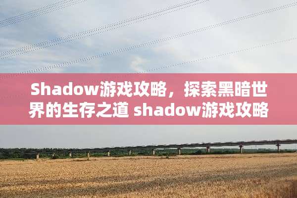 Shadow游戏攻略，探索黑暗世界的生存之道 shadow游戏攻略