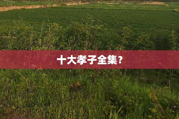 十大孝子全集？