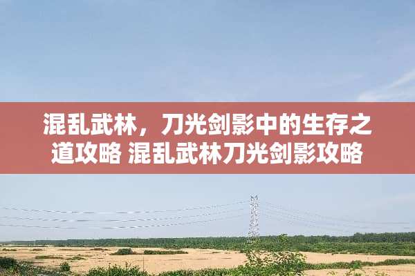 混乱武林，刀光剑影中的生存之道攻略 混乱武林刀光剑影攻略