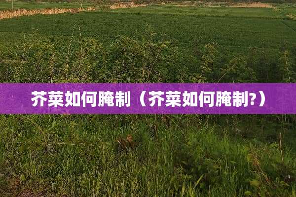 芥菜如何腌制(芥菜如何腌制?) 芥菜如何腌制(芥菜如何腌制?)