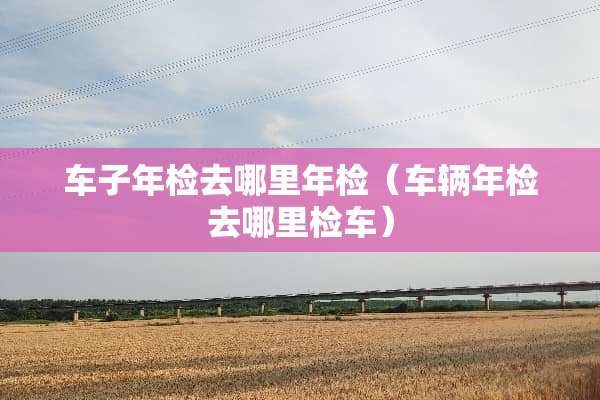 车子年检去哪里年检(车辆年检去哪里检车) 车子年检去哪里年检(车辆年检去哪里检车)