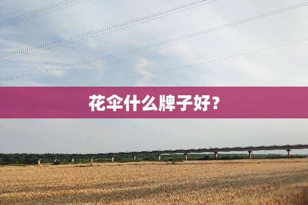 花伞什么牌子好？