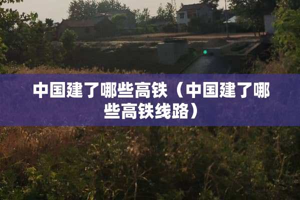 中国建了哪些高铁(中国建了哪些高铁线路) 中国建了哪些高铁(中国建了哪些高铁线路)