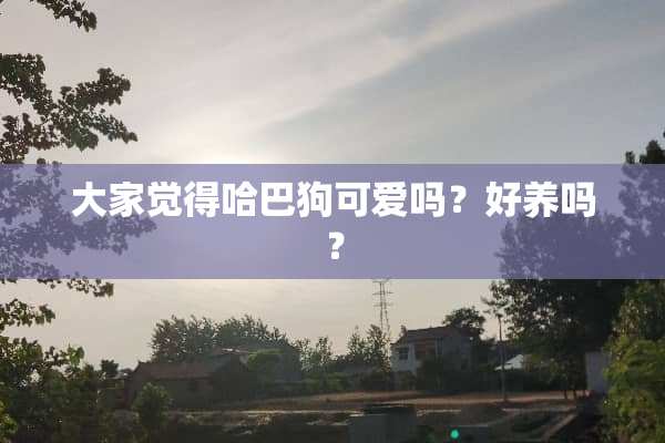 大家觉得哈巴狗可爱吗？好养吗？