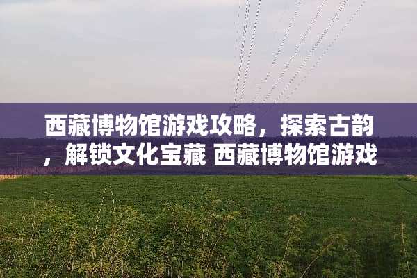 西藏博物馆游戏攻略,探索古韵,解锁文化宝藏 西藏博物馆游戏攻略 西藏博物馆游戏攻略,探索古韵,解锁文化宝藏 西藏博物馆游戏攻略