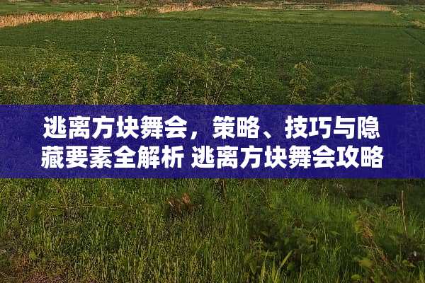 逃离方块舞会，策略、技巧与隐藏要素全解析 逃离方块舞会攻略游戏
