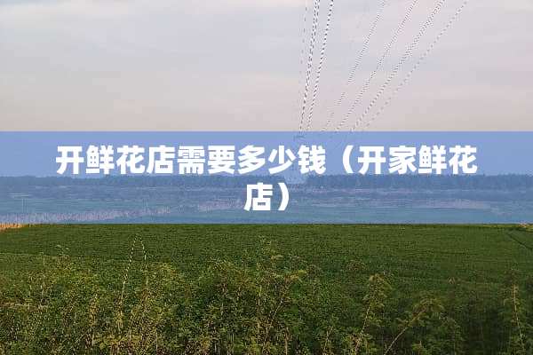 开鲜花店需要多少钱(开家鲜花店) 开鲜花店需要多少钱(开家鲜花店)