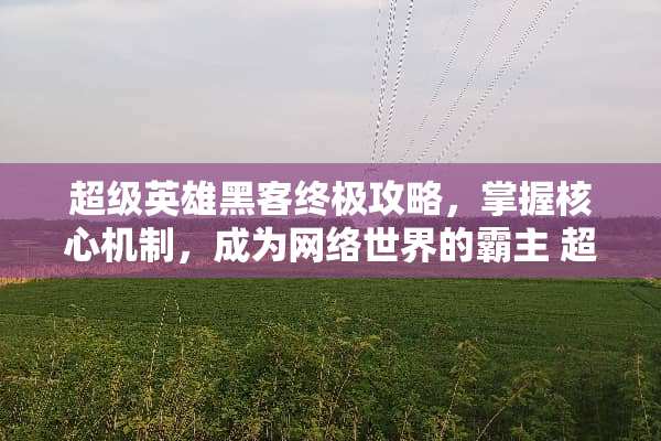 超级英雄黑客终极攻略,掌握核心机制,成为网络世界的霸主 超级英雄黑客游戏攻略 超级英雄黑客终极攻略,掌握核心机制,成为网络世界的霸主 超级英雄黑客游戏攻略