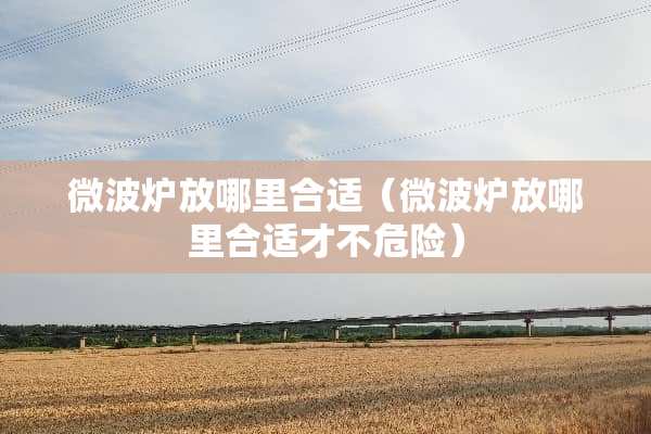 微波炉放哪里合适(微波炉放哪里合适才不危险) 微波炉放哪里合适(微波炉放哪里合适才不危险)