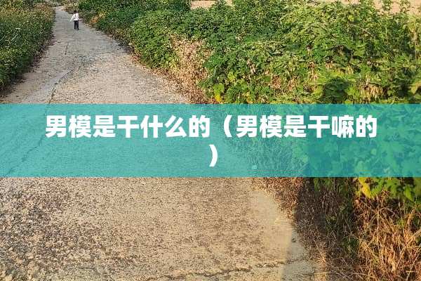 男模是干什么的(男模是干嘛的) 男模是干什么的(男模是干嘛的)